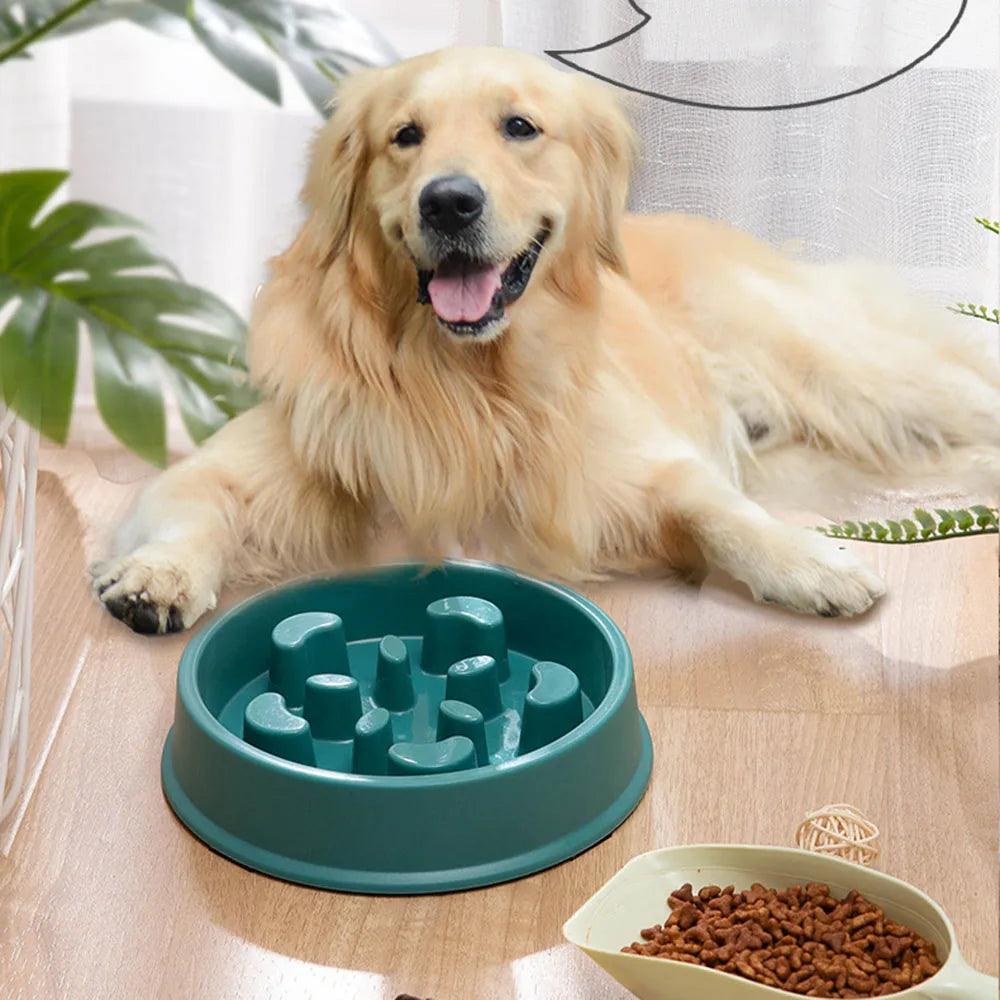 Pet Dogs and Cats Slow Food Bowl Puzzle Non-Choking